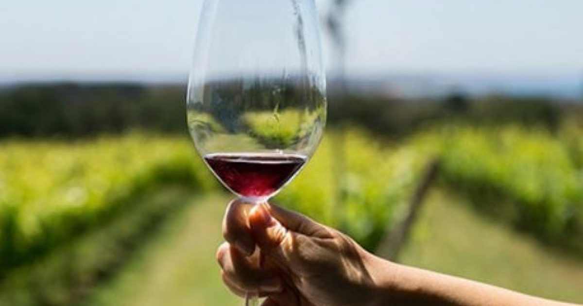 Australian wines